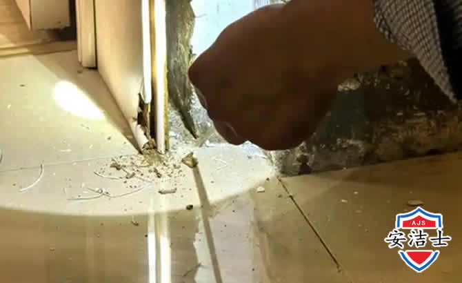 鹿城区房屋建筑防治白蚁