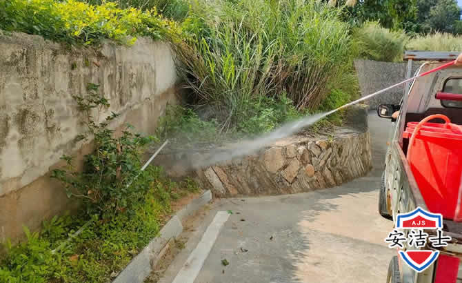 鹿城区道路堤坝白蚁防治