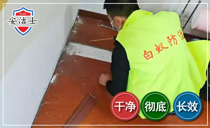 鹿城区除四害现场