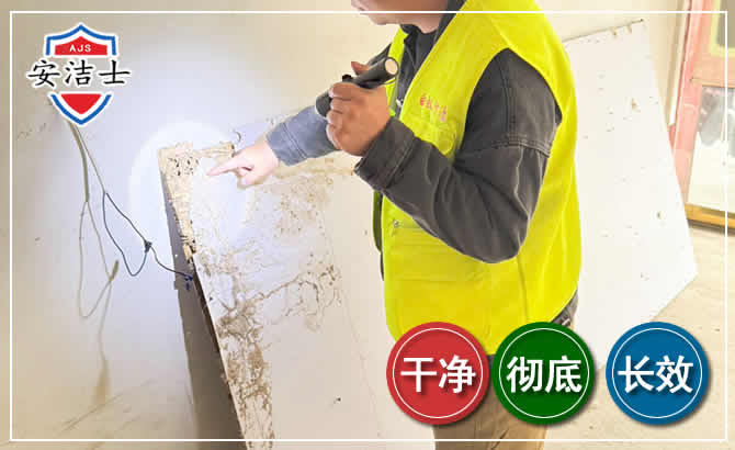 鹿城区除白蚁现场